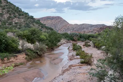 DSCF1014.jpg