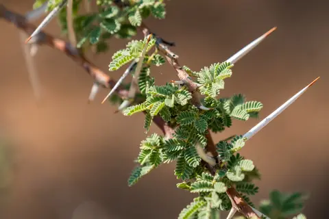 DSCF1039.jpg