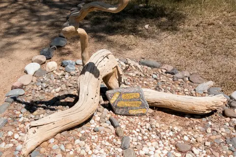 DSCF1247.jpg