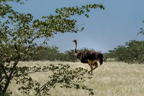 DSCF1545-1.jpg
