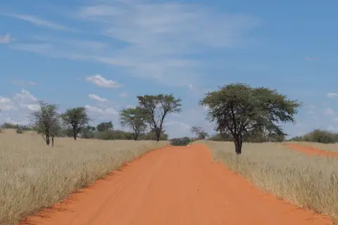 DSCF9886.jpg