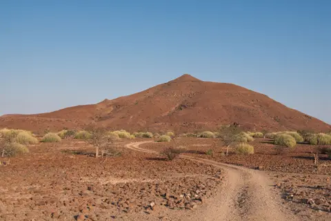 _DSF3722.jpg