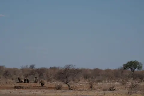 _DSF5668.jpg