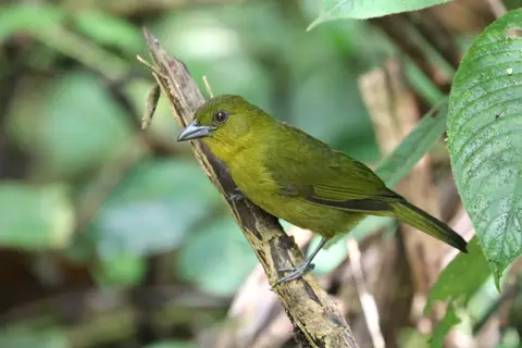 IMG_7524.JPG