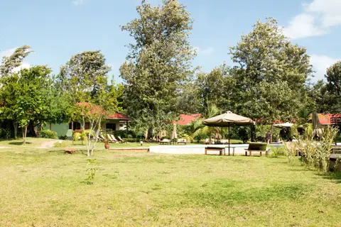 IMG_0354.jpg