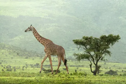 IMG_1837.jpg
