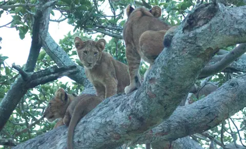 IMG_4515.jpg