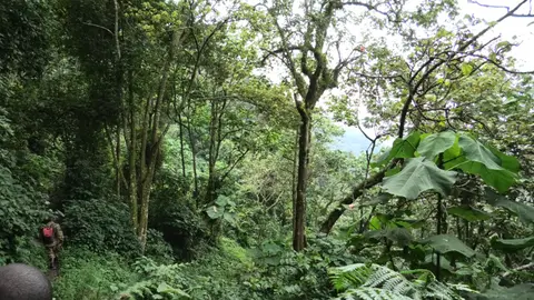 S1710009.JPG