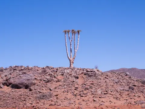 P2251665.jpg