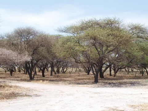 PB020368.jpg