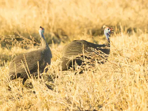 PB060587.jpg