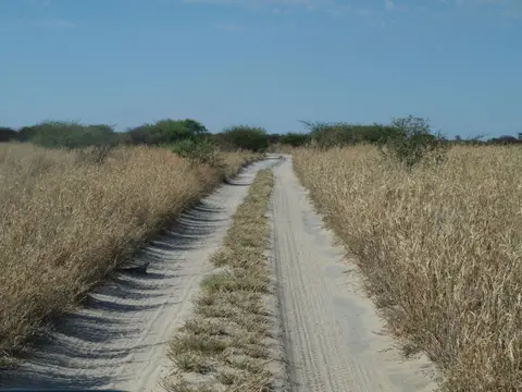 PB070449.jpg