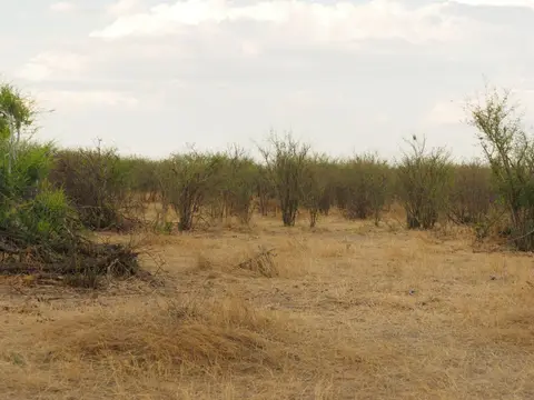 PB080701.JPG