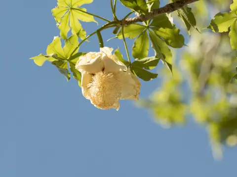 PB181489.jpg