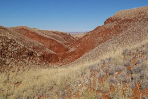 h9f41029.jpg