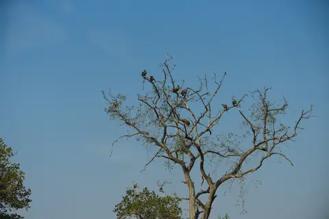 DSC_0270-2.jpg