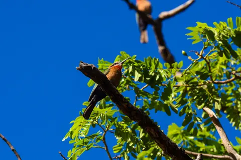 DSC_1014.jpg