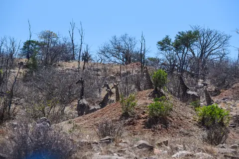 DSC_1080.jpg