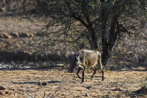 DSC_1427.jpg