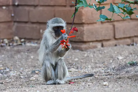 DSC_2148.jpg