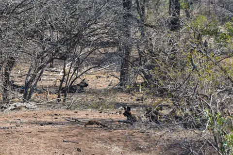 DSC_2214.jpg