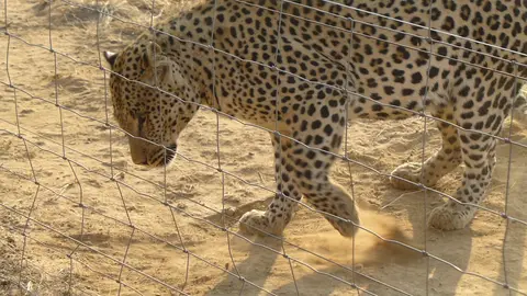 hb22e0ed.JPG