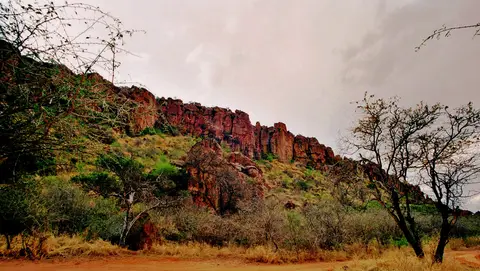 h381335b.jpg