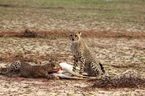 49.JPG