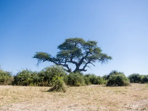 hb405fe9.jpg