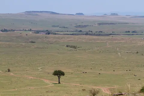 h0a62953.jpg