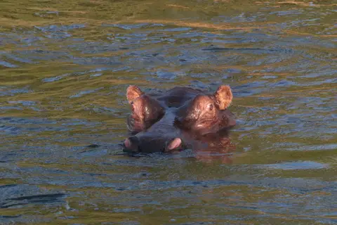 IMG_1616.JPG