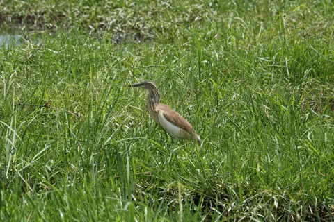 IMG_2322.JPG