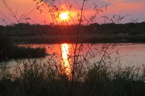 IMG_7429.JPG