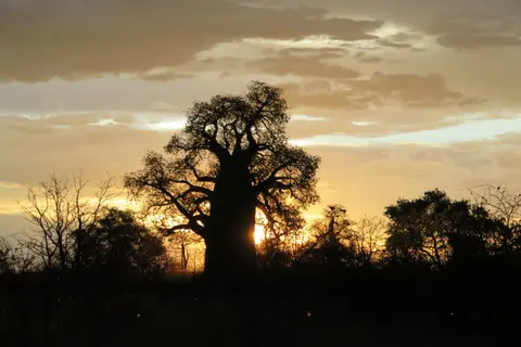 IMG_7859.JPG