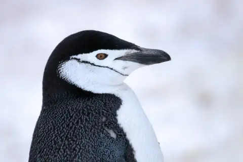 2018-12-23-19-40-IMG_3373.JPG