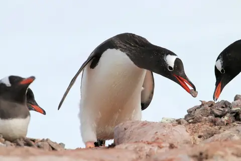 2018-12-30-18-36-IMG_4232.JPG