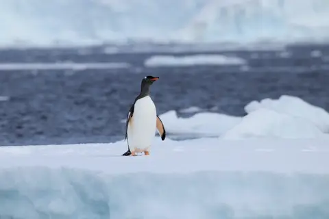 2018-12-31-09-41-IMG_4274.JPG