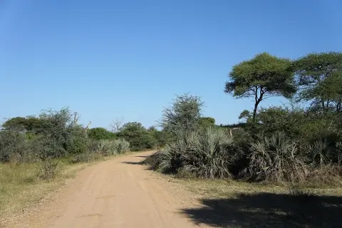 h64e413c.jpg
