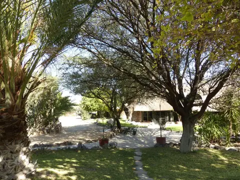 h05aa720.JPG