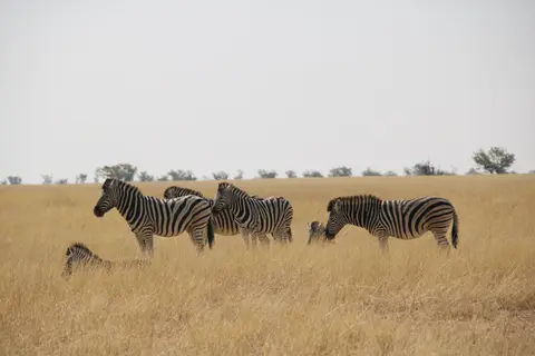 20-2-3.jpeg
