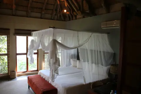 IMG_0902.jpeg