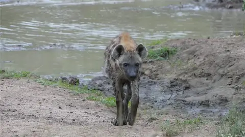 2017.04.0106.23.10HluhluweNP-RhinoRidgeLodge.JPG