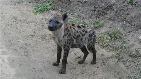 2017.04.0106.26.57HluhluweNP-RhinoRidgeLodge.JPG