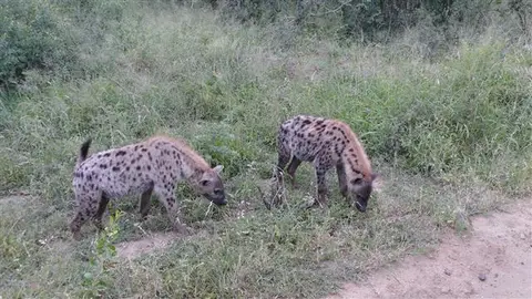 2017.04.0106.31.41HluhluweNP-RhinoRidgeLodge.JPG