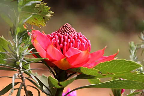 h52f787e.jpg