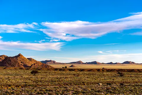 _KAW7026_1280.jpg