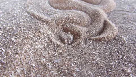 hc2088da.JPG