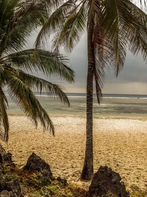 Diani-082752.jpg