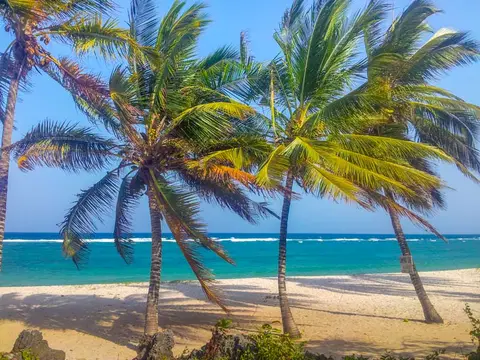 Diani-160544.jpg