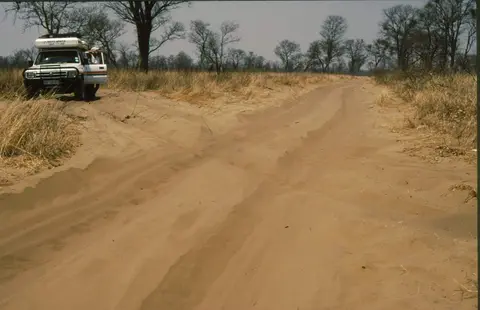 ChobeForest.jpg